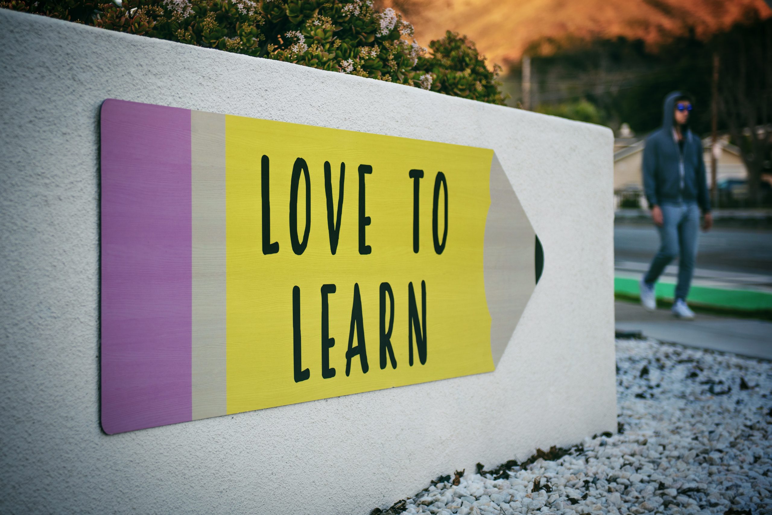 A Platform Co-ops Learning Journey